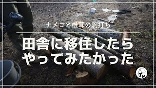 田舎に移住したらやってみたかったこと｜キノコの栽培｜小屋からの定期刊行便《vol.14》［vol.88］