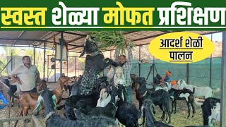 शेळी पालन व्यवसाय | shelipalan in marathi | sheli palan | शेळी पालन | Business Ideas in Marathi |