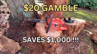 $1,000 Job? This $20 Chainsaw Saved Me – Here’s How!