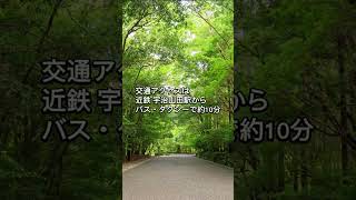 三重県のエエとこをご紹介‼️伊勢神宮 内宮 #伊勢神宮#外宮 #内宮 #天照大御神#神社 #旅行 #三重県 #伊勢市 #japan #ise #japan #geku #naiku