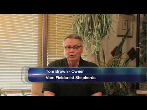 10 Key Elements for choosing a Personal Protection Dog Company 10 Key Elements for choosing a Personal Protection Dog Company
