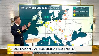 Sveriges bidrag till Nato: ”Geostrategiskt viktig plats” | Nyhetsmorgon | TV4 & TV4 Play
