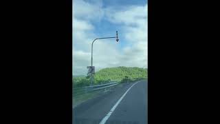 エゾシカの親子を発見‼️『北海道ドライブ』A deer walks on the sidewalk in Hokkaido, Japan【onboard camera】#Shorts