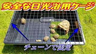 【簡単自作】安全なリクガメ日光浴用ケージ　作り方を解説