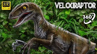 VR Jurassic Encyclopedia #15 - Velociraptor dinosaur facts 360 Education