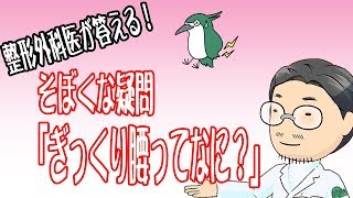 【整形外科医が答える！】ぎっくり腰ってなに？