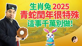 生肖兔注意！60年不遇！2025乙巳，青蛇閏年又遇雙春！屬兔人別踩雷！這事千萬別做！ #2025年生肖兔運勢 #2025年生肖兔運程 #2025年屬兔運勢 #2025年屬兔運程