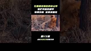 Pt1/3 惨遭活剥的穿山甲，比熊猫还濒危，真的那么补吗？【科普任意门】#shorts