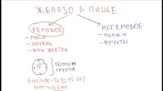 Железодефицитная анемия 1