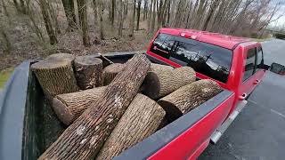 Free Roadside Firewood Part 2...Going Back For More!