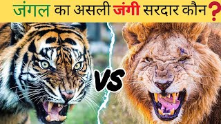 🦁 शेर या बाघ🐅 कौन है असली सरदार? | Tiger vs Lion comparison in hindi | Wildlife Claws