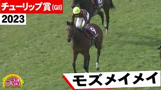 2023年 チューリップ賞（ＧⅡ）モズメイメイ（武 豊 騎手）　武騎手「誘導馬が良かった（笑）」【うまＤＯＫＩ】