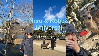 Nara& Kobe Vlog: Chuyến đi nhẹ nhàng đầu năm tại Nhật Bản