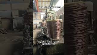 We are producing copper plated steel wire#spring steel wire #factory #carbonsteel #springsteel