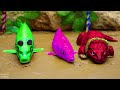 stop motion funny rainbow octopus sea crab mukbang colorful gecko colorful koi fish