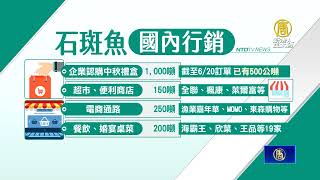 拓石斑魚通路！蘇揆示範料理 全聯認購5百噸