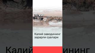 Қашқадарёда калий заводининг зарарли сувлари сойга оқизилаётгани маълум бўлди