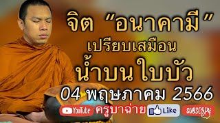 จิต “อนาคามี” เปรียบเสมือนน้ำบนใบบัว 04/05/66