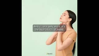 Is it Hashimoto’s or Mold? #hashimotos  #thyroid  #mold