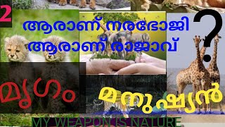 ആരാണ് നരഭോജി ഞങ്ങളോ നിങ്ങളോ.മൃഗം,മനുഷ്യൻ നിങ്ങൾ പറയണം. SALAHUDHEEN AYYOOBI.....MY WEAPON IS NATURE