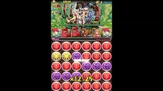 【パズドラ】ガイア降臨！ 起源神 地獄級　ヒソカ pt