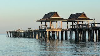 Robb’s Saturday Morning Beach Walk at the Naples Pier (08/26/23)