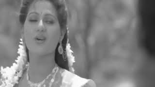 Cheluve Neenu Nakkare Video Song | Neenu Nakkare Haalu Sakkare | Vishnuvardan , Roopini