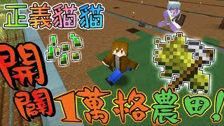 【巧克力】『正義貓貓』開闢1萬格農田！ || Minecraft 賞金公會 UHC生存