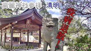 高麗神社参拝　清明　10th,April,2020