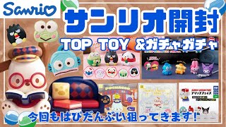 【サンリオ】初めてのTOPTOY開封とサンリオガチャ