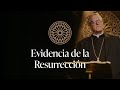 Evidencia de la Resurrección - Sermón del Domingo del obispo Robert Barron