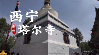 青海西宁塔尔寺