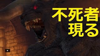 ベルセルク無双［PS4］#7 不死者（ノスフェラトゥ）ゾッド！～ガッツ・グリフィスvsゾッド【Berserk and the Band of the Hawk】