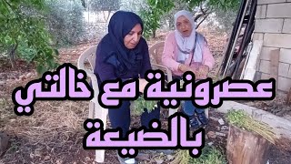 عصرونية ضحك وتسلية تحت الجوزة وذكريات الطفولة وقصص نبع الحنان وأختها