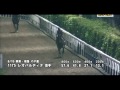 2015　8　19　北九州記念　レオパルディナ　調教動画