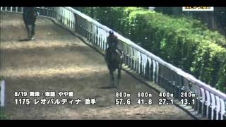 2015　8　19　北九州記念　レオパルディナ　調教動画