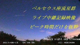 ペルセウス座流星群 ピークの記録動画2017