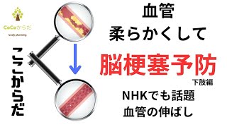 トリセツショーの血管伸ばし。脳の老化予防に効果的