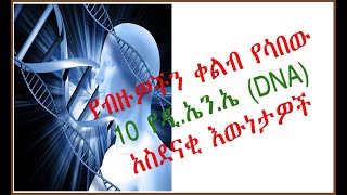 የብዙዎችን ቀልብ የሳበው የ ዲ.ኤን.ኤ  10 አስደናቂ እውነታዎች  (10 interesting DNA facts )