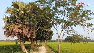 মনোহরদী উপজেলার হাফিজপুর টু বড়মির্জাপুর প্রাকৃতিক সৌন্দর্যে ঘেরা গ্রাম্য রাস্তা