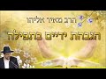 הרב מאיר אליהו הגבהת ידיים בתפילה