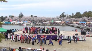 よさこい総踊り④ ♪ ピーマンサンバ @ どまつり夜桜in岡崎 (河川敷会場) 2017-04-09T12:15