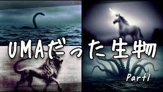 実在した未確認生物！UMAと呼ばれていた動物 10選 【雑学】