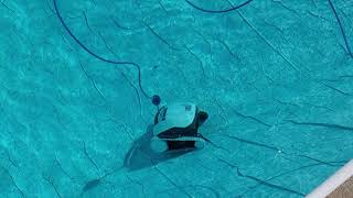 Review The Maytronic Dolphin E10 robotic pool cleaner part 2