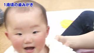 赤ちゃんの歯磨き「前歯が生えそろってきたころ（1歳頃）」