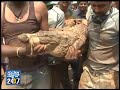 crocodile rescued in gokarna ನ್ಯೂಸ್ ಹೆಡ್ಲೈನ್ಸ್ news bulletin 03 apr 14