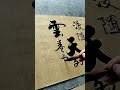 宠辱不惊，闲看庭前花开花落；去留无意，漫随天外云卷云舒 calligraphy 书法