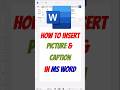 How to Insert Picture & Caption in MS Word (Secret Trick & Hack) #shorts #msword #tech