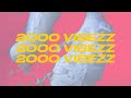 Muzzike - 2000VIBEZZ (Audio)