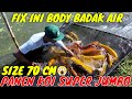 PANEN BADAK AIR 😱 KOI JUMBO SIZE 70 CM SUPER SUPER || DUTA KOI BLITAR